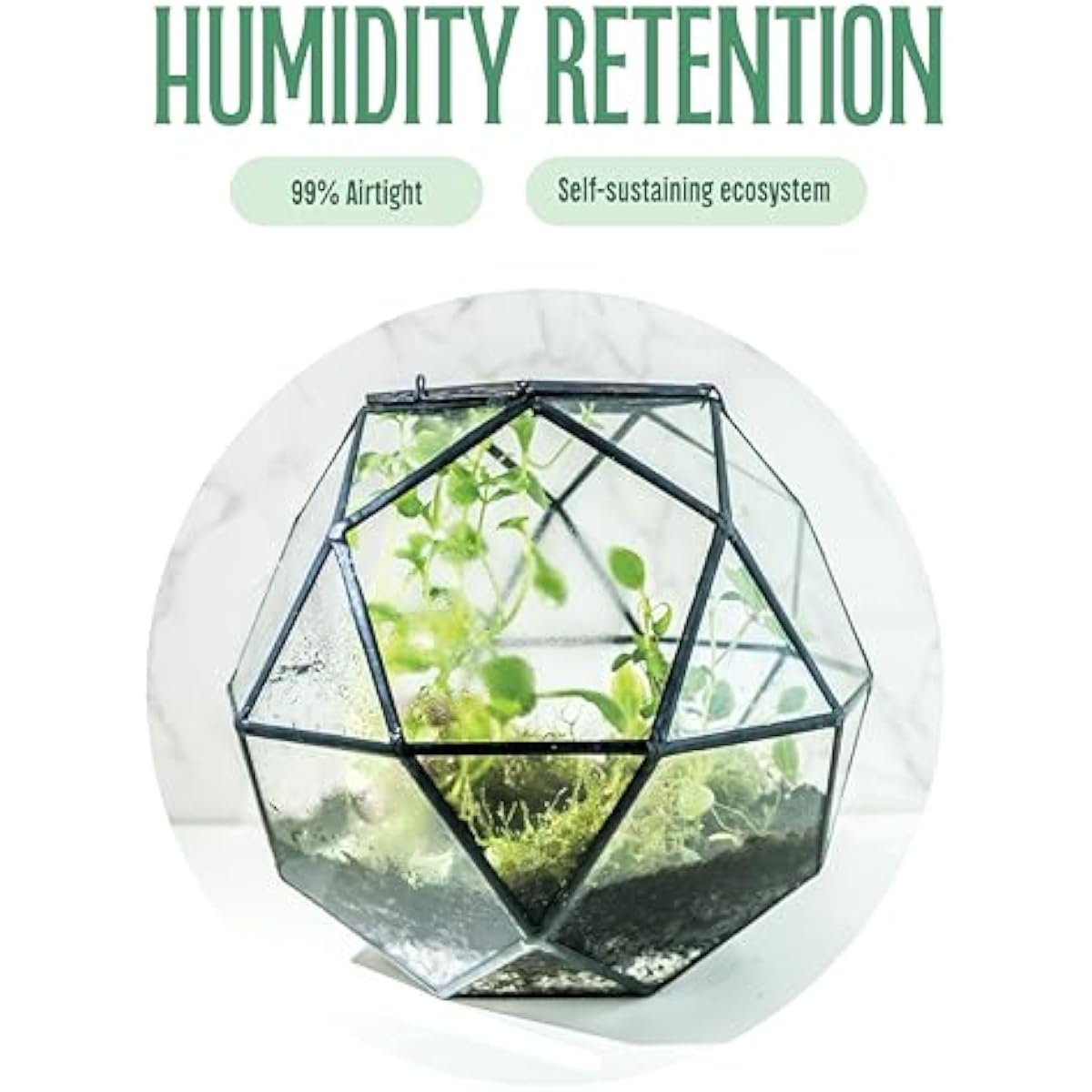 Geometrisches Kugel-Terrarium  – Glass Door Hinge Bewertung und Preis