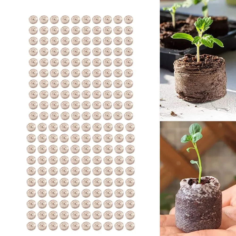 100 Stück komprimierte Kokosfa – Substrate Coconut Fiber Bewertung und Preis